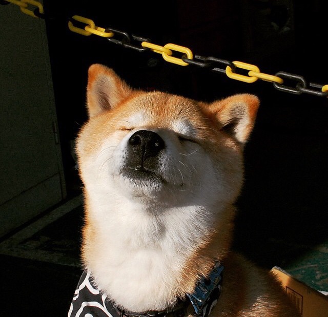 外线球员如何在快节奏下维持命中率，外线球员穿什么球鞋