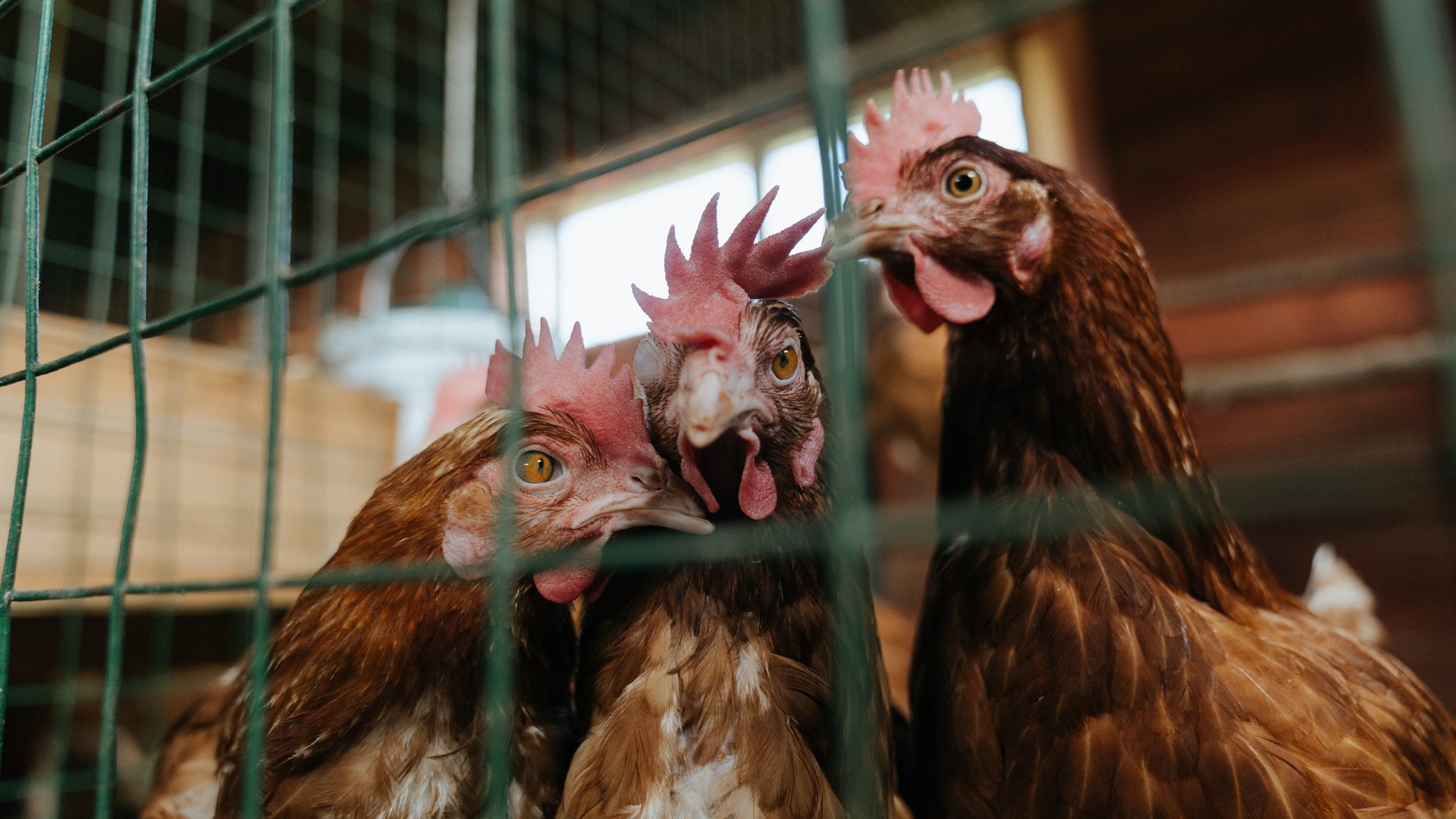 足球产业相关专业人才教育尚未普及，足球产业管理