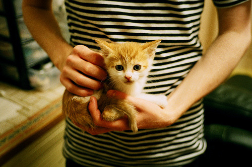 塞尔维亚女篮在欧洲锦标赛中力争金牌,传统劲旅永不言败,塞尔维亚女篮咋样