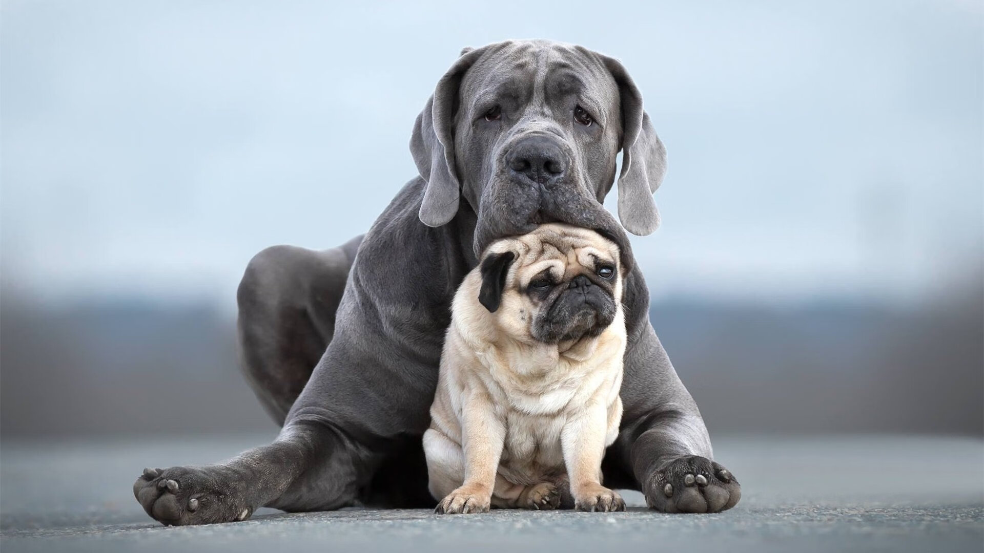 德甲攻守大战：节奏快、精彩颖然！，德甲用球2020